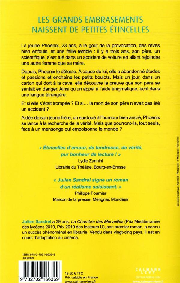 Quatrième de couverture de « Les étincelles : roman »