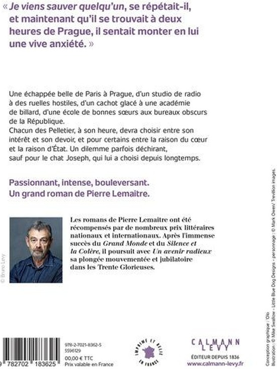 Quatrième de couverture de « Un avenir radieux : roman »