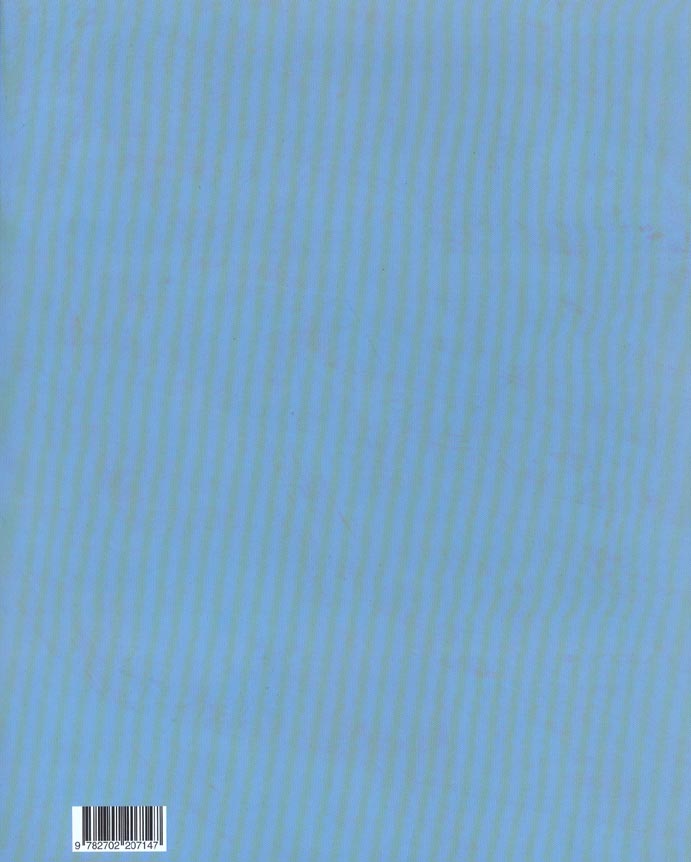 Quatrième de couverture de « HORTENSE DAMIRON »