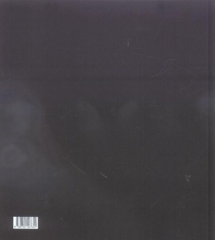 Quatrième de couverture de « PETIT PALAIS »
