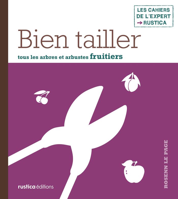 Couverture du livre « LA SAINTETE POUR TOUS », librairie Les Contes Infusés à Corte