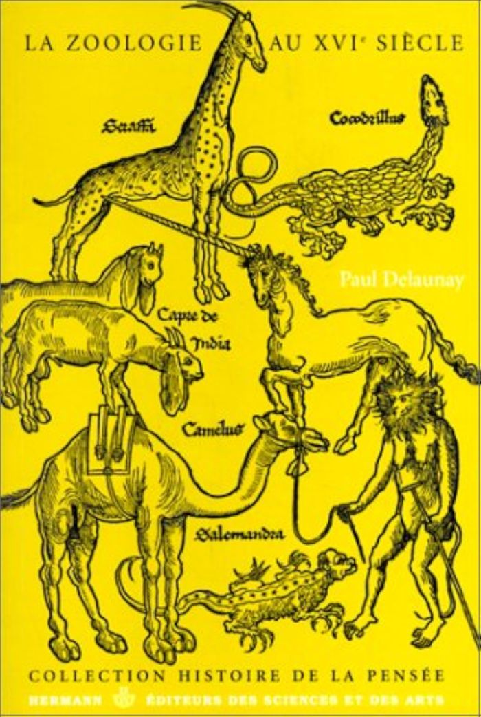 Couverture du livre « LA ZOOLOGIE AU XVIE SIECLE » de Paul Delaunay, librairie Les Contes Infusés à Corte
