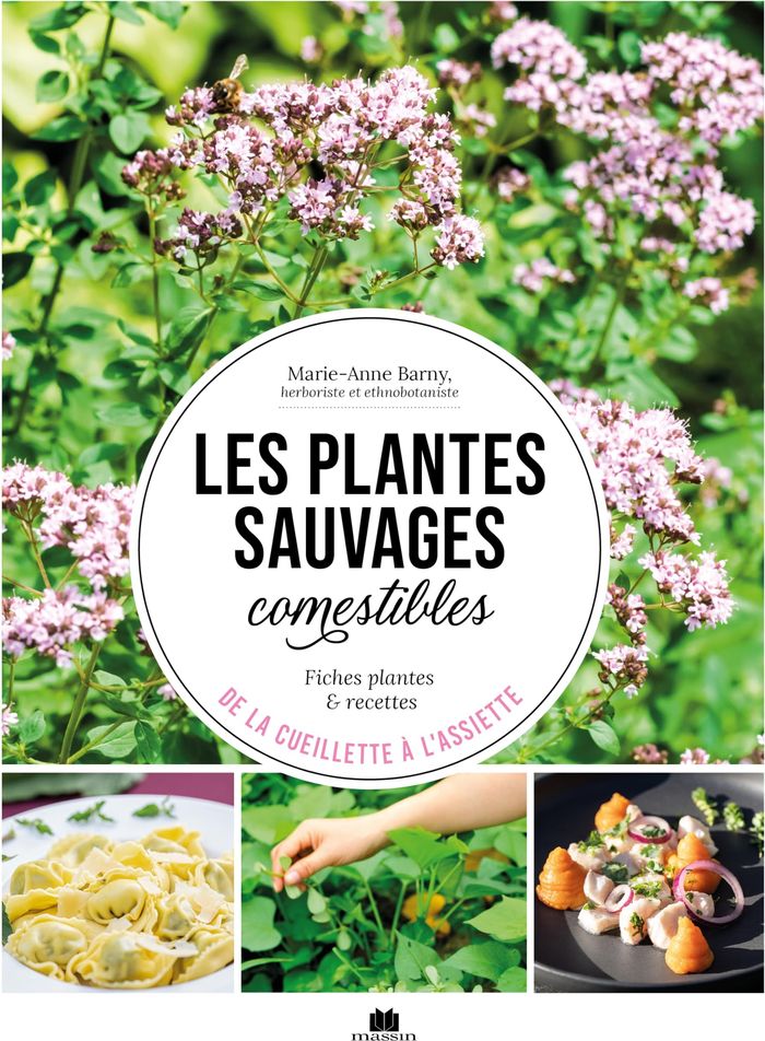 Couverture du livre « Les plantes sauvages comestibles : de la cueillette à l'assiette » de Marie-Anne Barny, librairie Les Contes Infusés à Corte