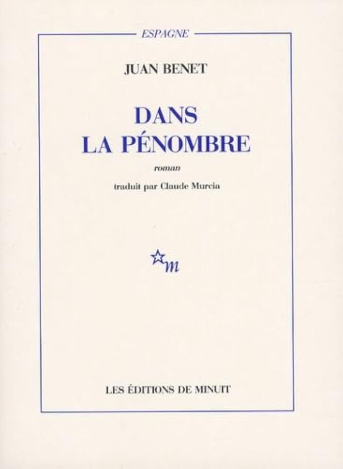 Couverture du livre « DANS LA PENOMBRE », librairie Les Contes Infusés à Corte