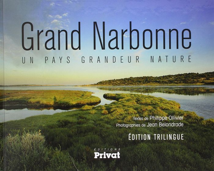 Couverture du livre « GRAND NARBONNE (LE) » de P. Ollivier, librairie Les Contes Infusés à Corte