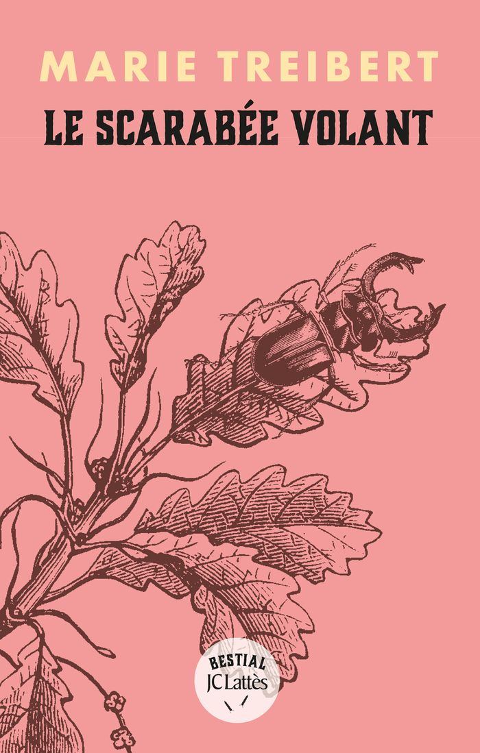 Couverture du livre « Le scarabée volant » de Marie Treibert, librairie Les Contes Infusés à Corte