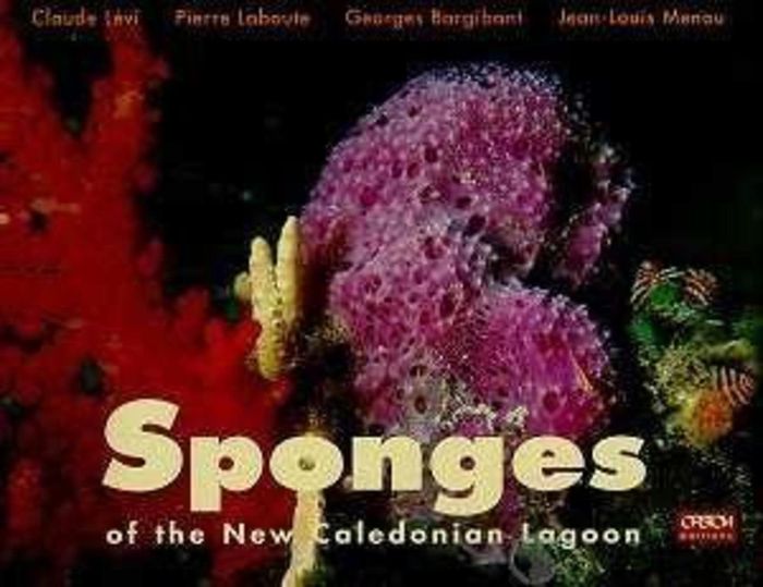 Couverture du livre « SPONGES OF THE NEW CALEDONIAN LAGOON », librairie Les Contes Infusés à Corte