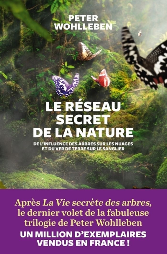 Couverture du livre « Le réseau secret de la nature : de l'influence des arbres sur les nuages et du ver de terre sur le sanglier » de Peter Wohlleben, librairie Les Contes Infusés à Corte