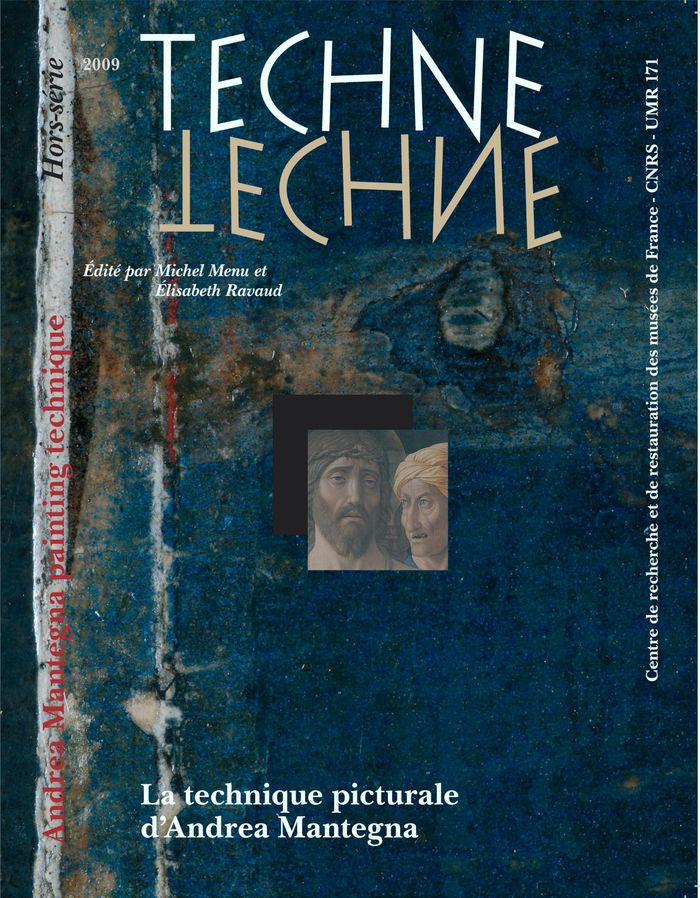 Couverture du livre « TECHNE, N  HORS SERIE/2009 » de Michel Menu, librairie Les Contes Infusés à Corte