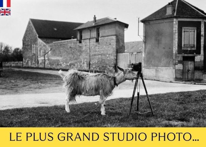 Couverture du livre « LE PLUS GRAND STUDIO PHOTO QUI TIENT DANS LA POCHE - BILINGUE FRANCAIS-ANGLAIS - ILLUSTRATIONS, COUL » de Font-Reaulx D D., librairie Les Contes Infusés à Corte
