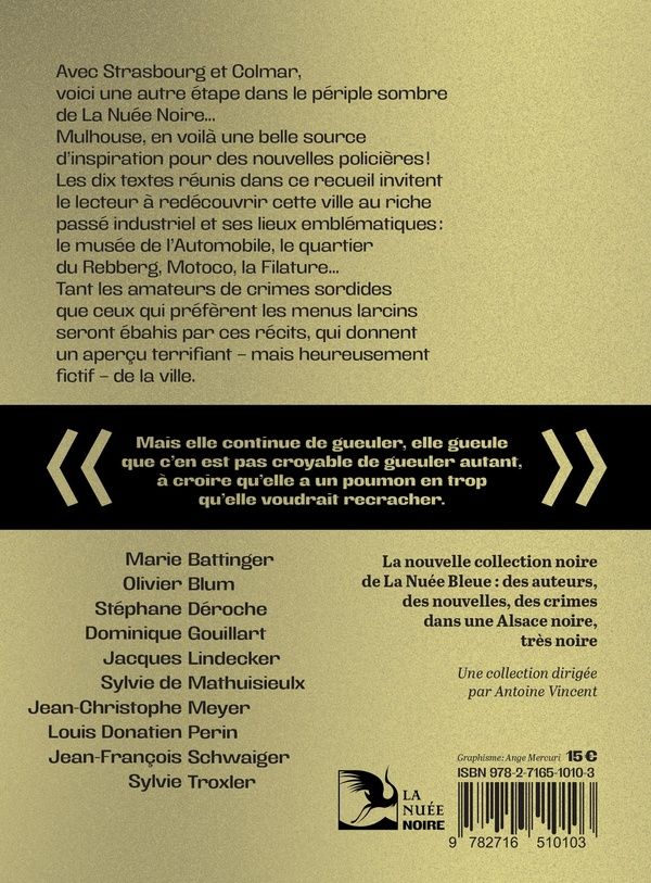Quatrième de couverture de « Mulhouse noire »
