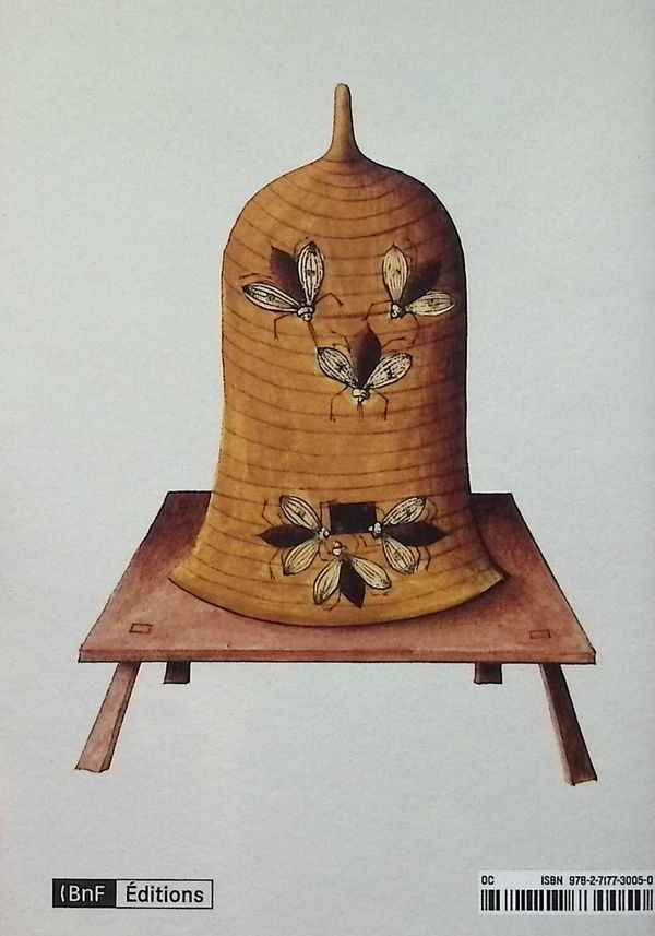 Quatrième de couverture de « Abeilles : les fées de la ruche »