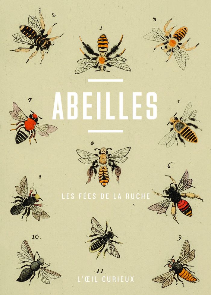 Couverture du livre « Abeilles : les fées de la ruche » de Collectif, librairie Les Contes Infusés à Corte