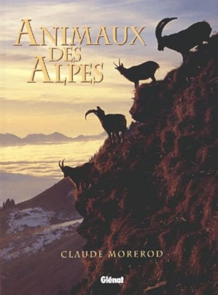 Couverture du livre « ANIMAUX DES ALPES » de Claude Morerod, librairie Les Contes Infusés à Corte