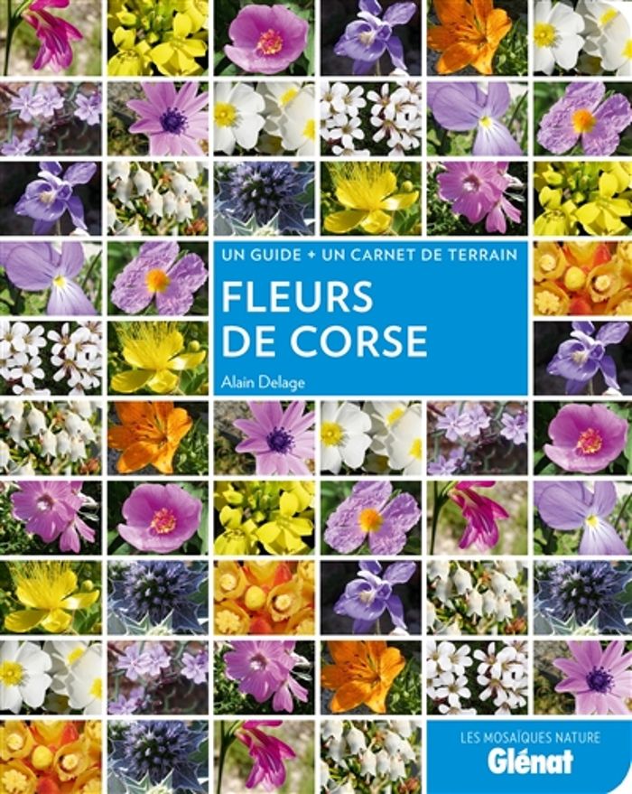 Couverture du livre « FLEURS DE CORSE » de Alain Delage, librairie Les Contes Infusés à Corte