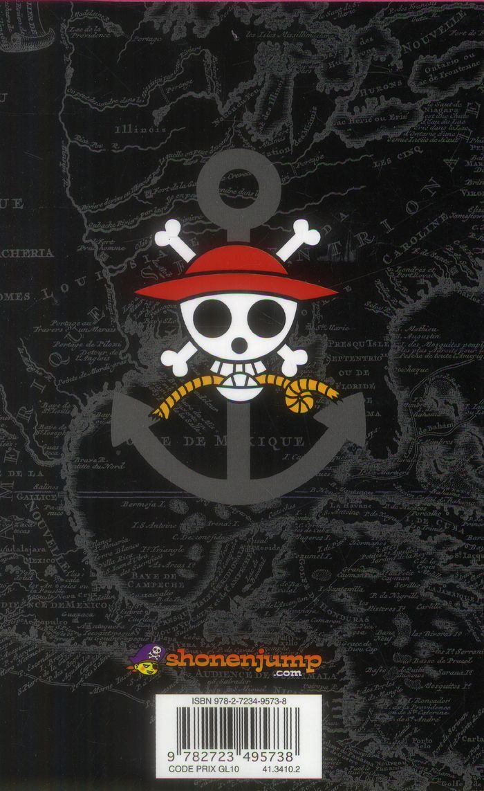 Quatrième de couverture de « One Piece »