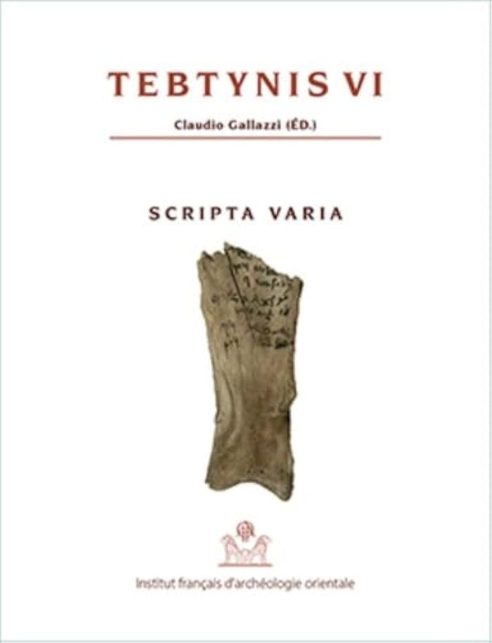 Couverture du livre « TEBTYNIS VI. SCRIPTA VARIA » de Claudio Gallazzi, librairie Les Contes Infusés à Corte