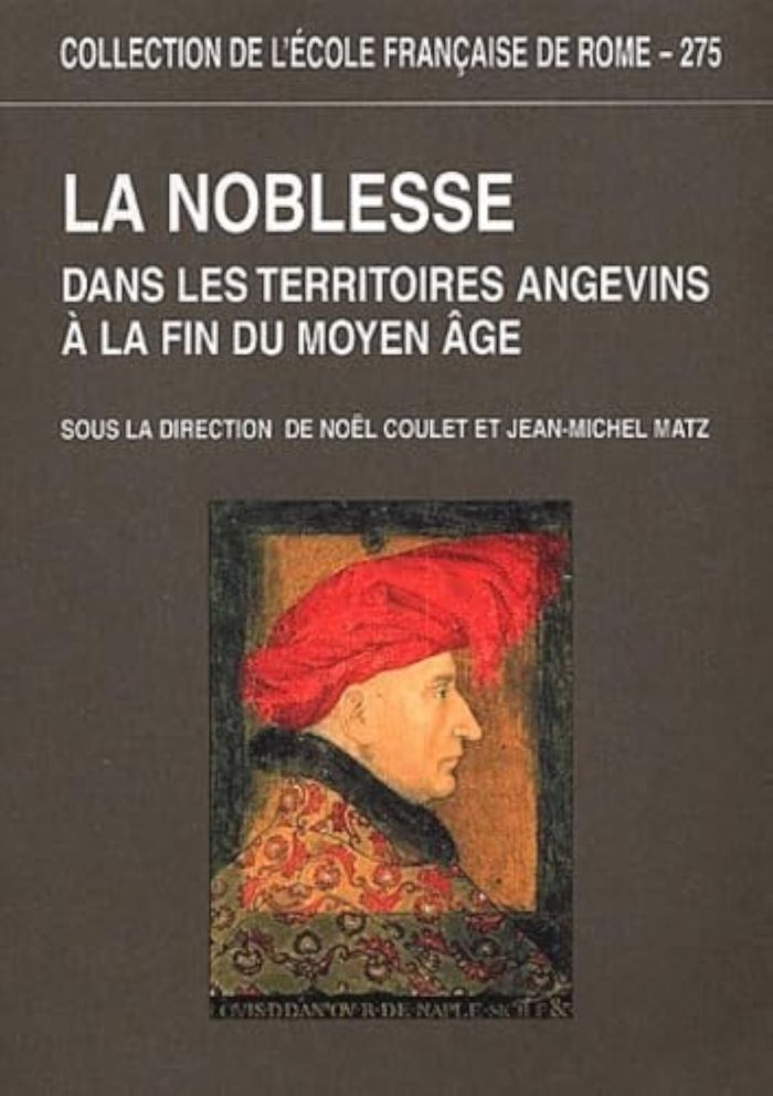 Couverture du livre « LA NOBLESSE DANS LES TERRITOIRES ANGEVINS A LA FIN DU MOYEN AGE (COLL) », librairie Les Contes Infusés à Corte