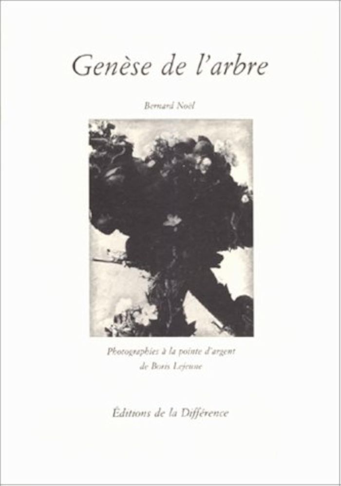 Couverture du livre « GENESE DE L'ARBRE », librairie Les Contes Infusés à Corte