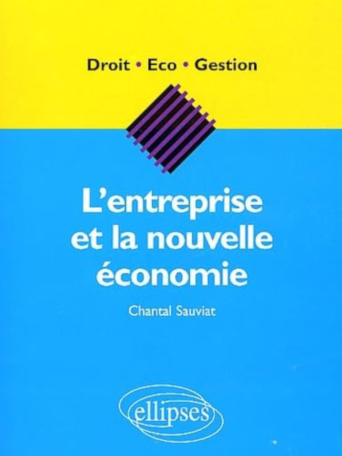 Couverture du livre « L'ENTREPRISE ET LA NOUVELLE ECONOMIE » de Chantal Sauviat, librairie Les Contes Infusés à Corte