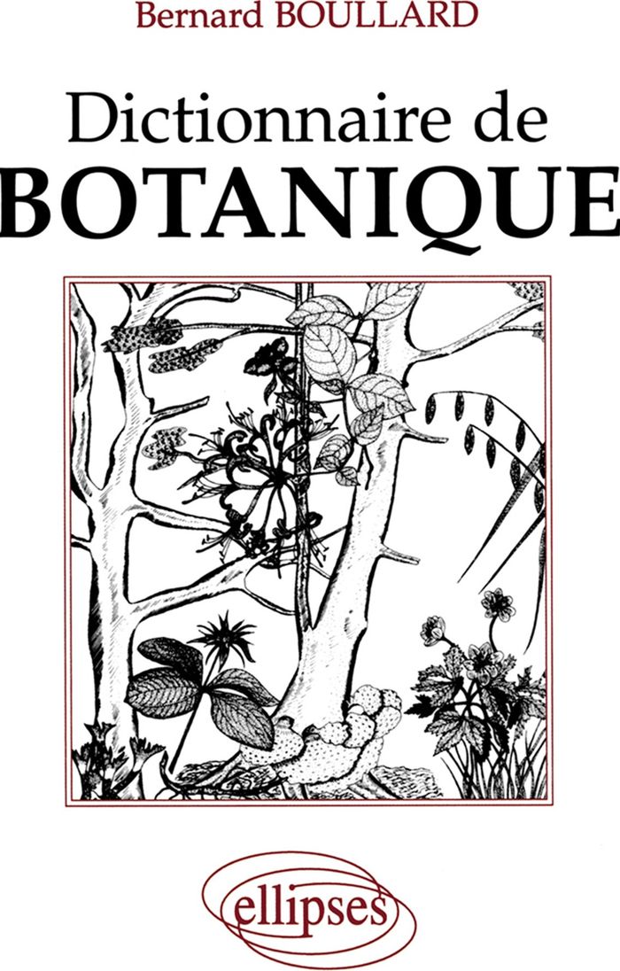 Couverture du livre « DICTIONNAIRE DE BOTANIQUE » de B. Boullard, librairie Les Contes Infusés à Corte