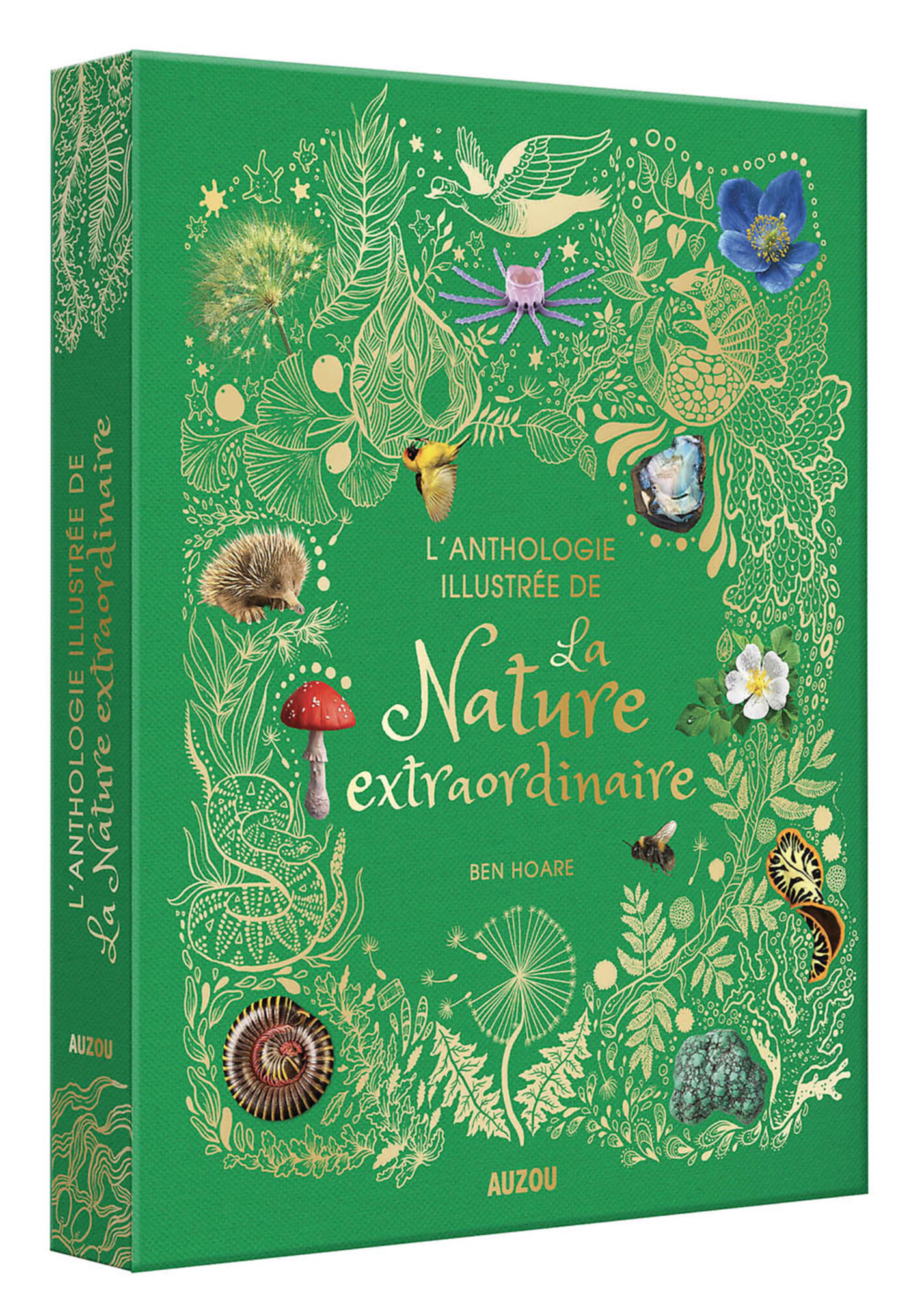Couverture : ANTHOLOGIE ILLUSTREE DE LA NATURE EXTRAORDINAIRE