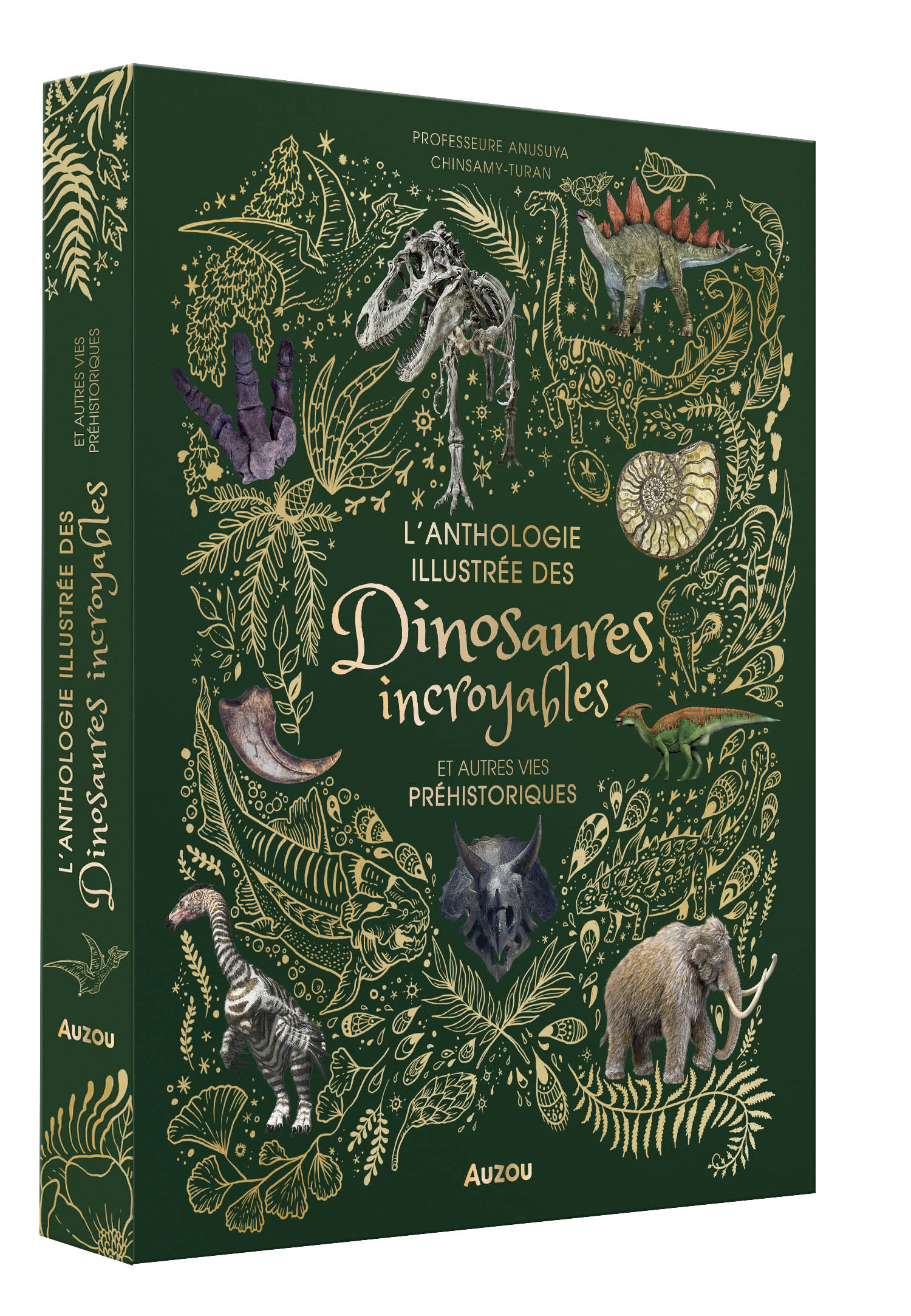 Couverture : ANTHOLOGIE ILLUSTREE DINOSAURES
