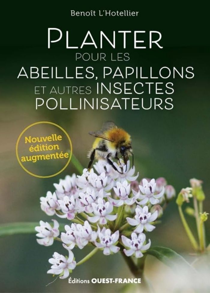 Couverture du livre « Planter pour les abeilles, papillons et autres insectes pollinisateurs » de Benoît L'Hotellier, librairie Les Contes Infusés à Corte