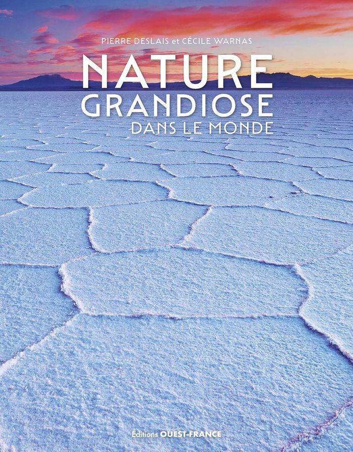 Couverture du livre « Nature grandiose dans le monde » de Pierre Deslais, librairie Les Contes Infusés à Corte