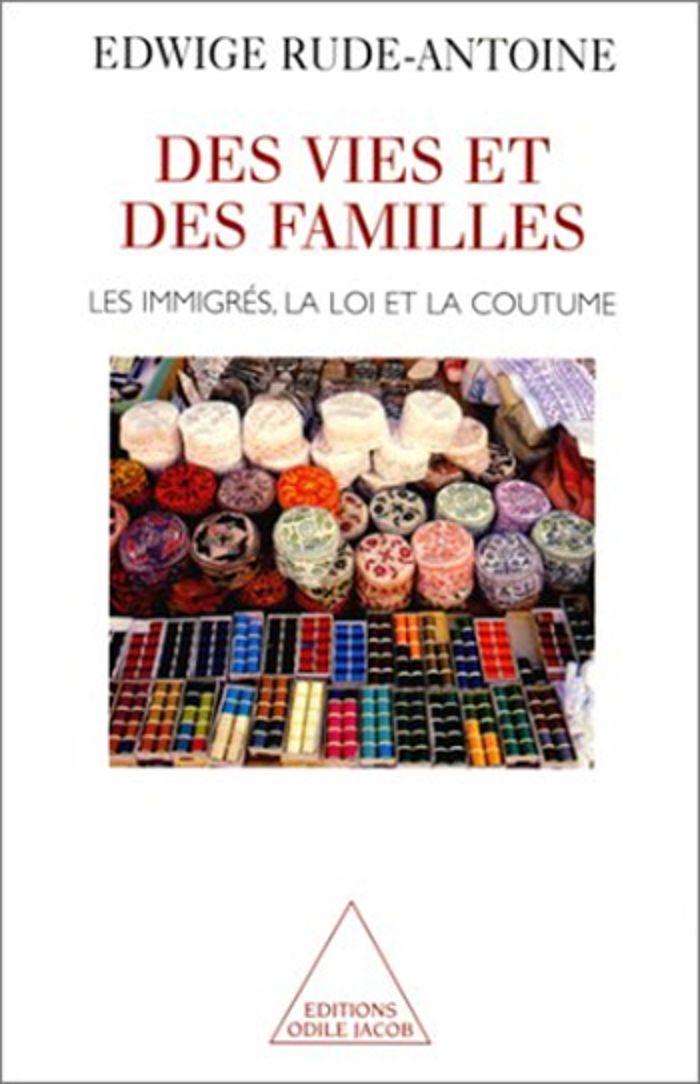 Couverture du livre « DES VIES ET DES FAMILLES - LES IMMIGRES, LA LOI ET LA COUTUME » de Edwige Rude-Antoine, librairie Les Contes Infusés à Corte