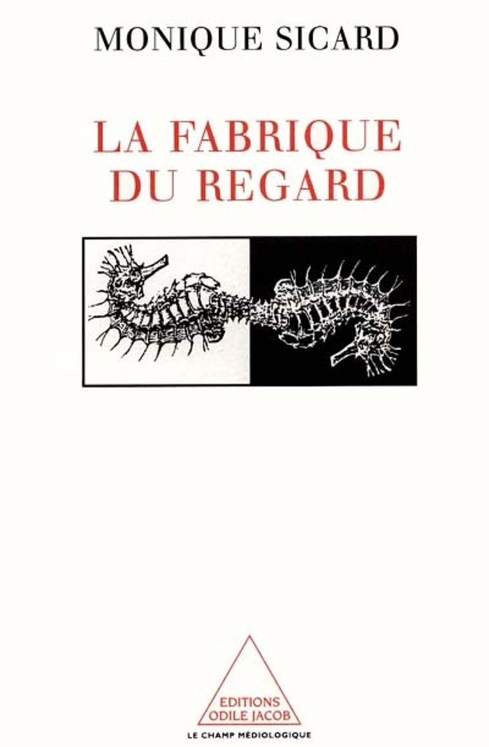 Couverture du livre « LA FABRIQUE DU REGARD » de Monique Sicard, librairie Les Contes Infusés à Corte