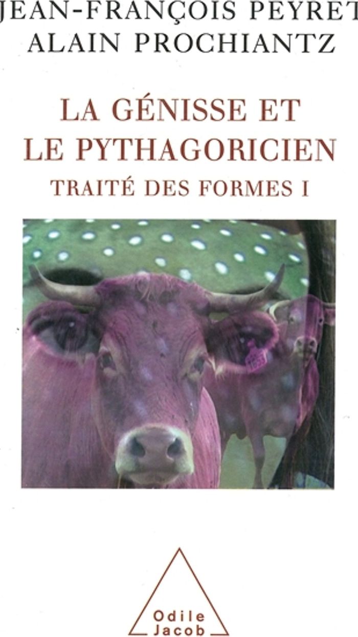 Couverture du livre « LA GENISSE ET LE PYTHAGORIEN - TRAITE DES FORMES I » de Peyret/prochiantz, librairie Les Contes Infusés à Corte