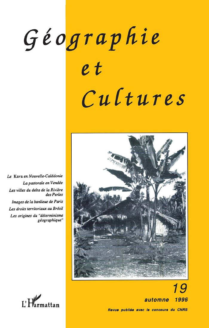 Couverture du livre « GEOGRAPHIE ET CULTURES N 19 - VOL19 » de Xxx, librairie Les Contes Infusés à Corte