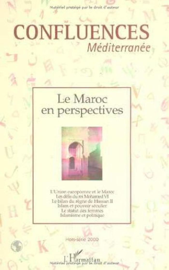 Couverture du livre « LE MAROC EN PERSPECTIVES - VOL31 - HORS-SERIE 2000 » de Xxx, librairie Les Contes Infusés à Corte
