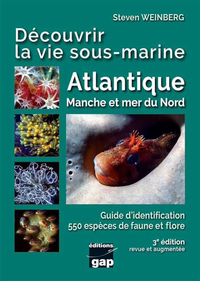 Couverture du livre « DECOUVRIR LA VIE SOUS-MARINE ATLANTIQUE, MANCHE ET MER DU NORD - 3EME EDITION » de Steven Weinberg, librairie Les Contes Infusés à Corte