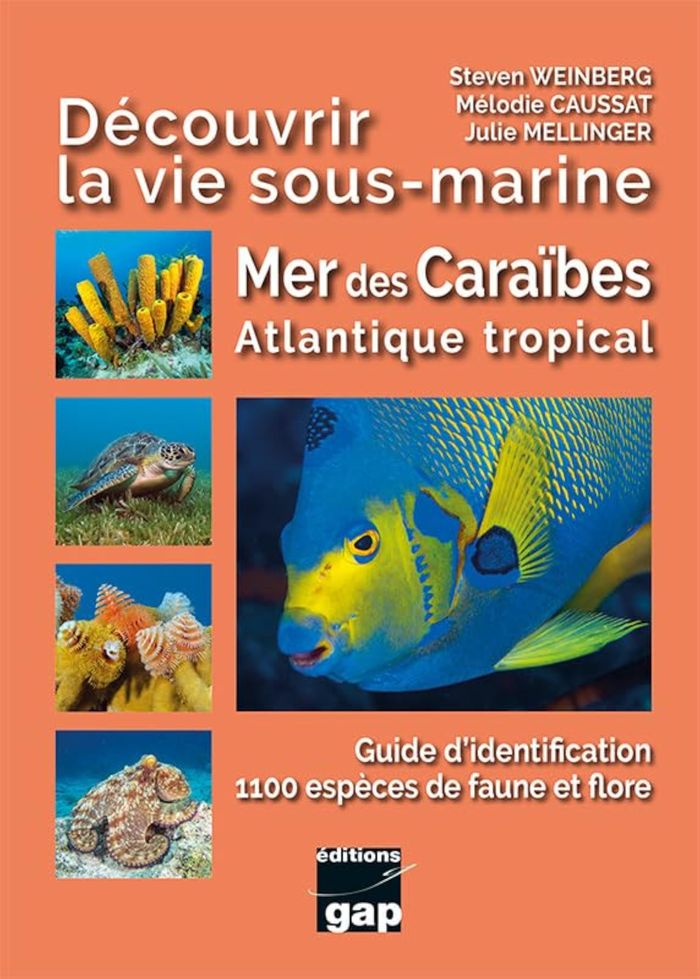 Couverture du livre « DECOUVRIR LA VIE SOUS-MARINE MER DES CARAIBES ATLANTIQUE TROPICAL » de Weinberg/caussat, librairie Les Contes Infusés à Corte