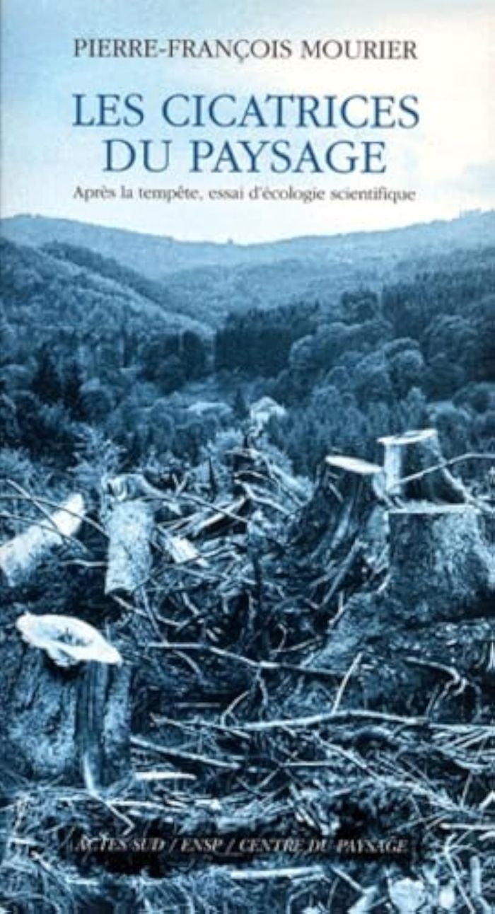 Couverture du livre « LES CICATRICES DU PAYSAGE », librairie Les Contes Infusés à Corte