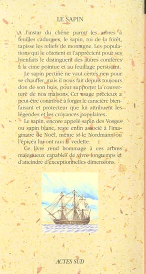 Quatrième de couverture de « LE SAPIN »