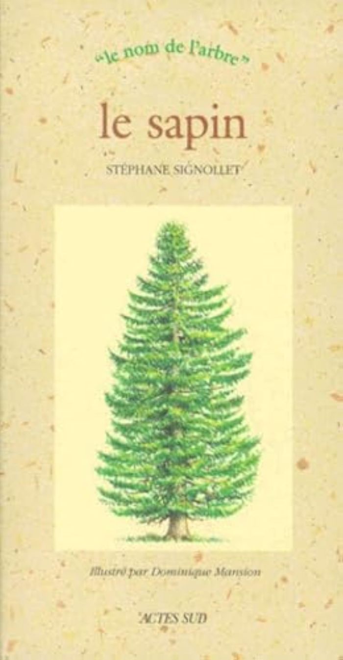 Couverture du livre « LE SAPIN », librairie Les Contes Infusés à Corte
