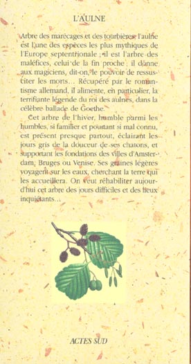 Quatrième de couverture de « L'AULNE »