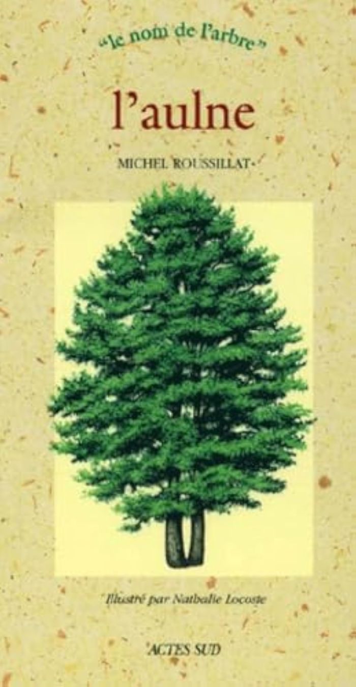 Couverture du livre « L'AULNE » de Roussillat/locoste, librairie Les Contes Infusés à Corte