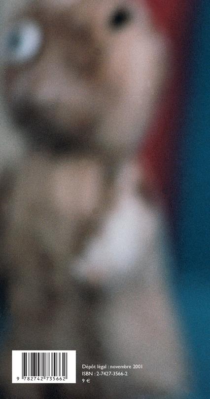 Quatrième de couverture de « L'AMOUR DES CHOSES »