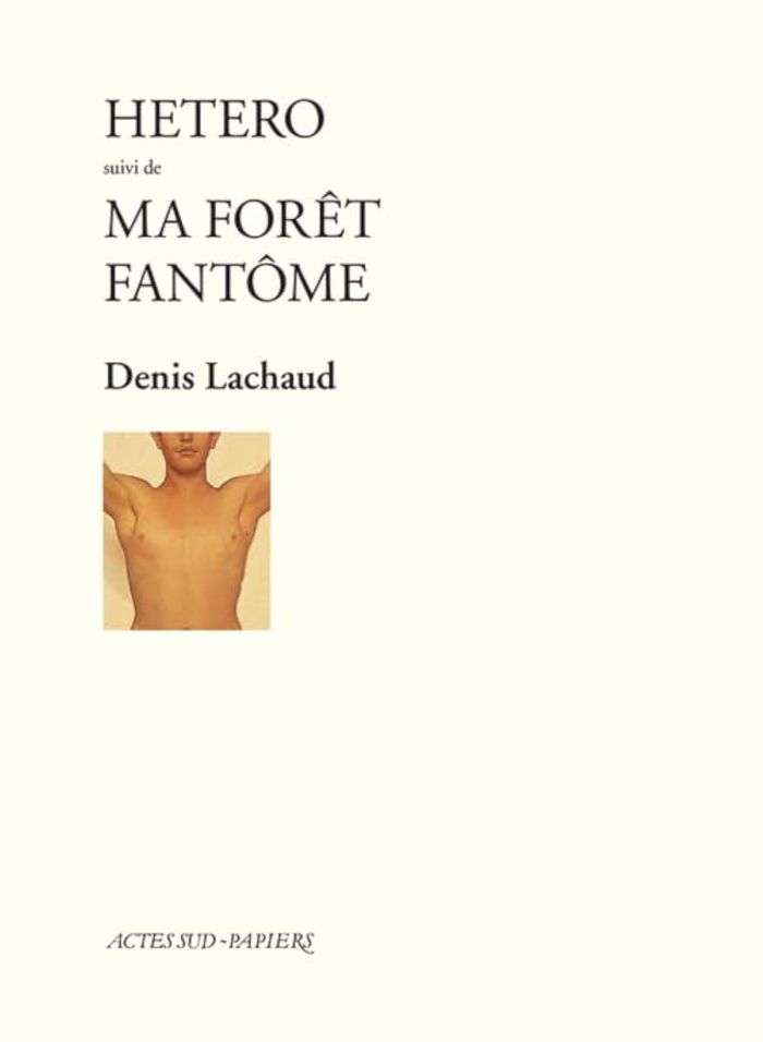 Couverture du livre « HETERO SUIVI DE : MA FORET FANTOME » de Denis Lachaud, librairie Les Contes Infusés à Corte