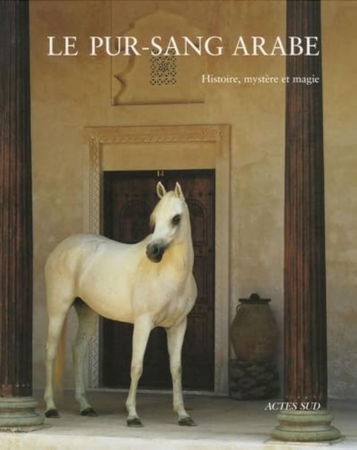 Couverture du livre « LE PUR-SANG ARABE - HISTOIRE, MYSTERE ET MAGIE », librairie Les Contes Infusés à Corte