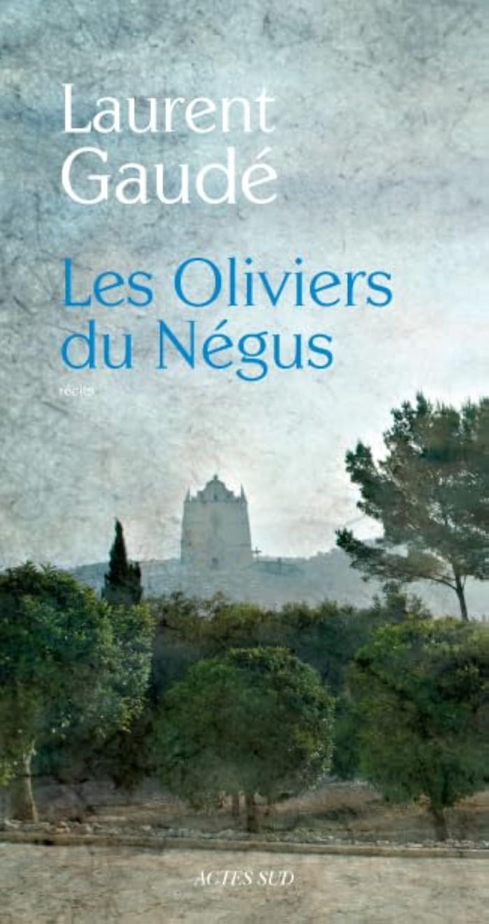 Couverture du livre « Les oliviers du Négus : nouvelles » de Laurent Gaudé, librairie Les Contes Infusés à Corte