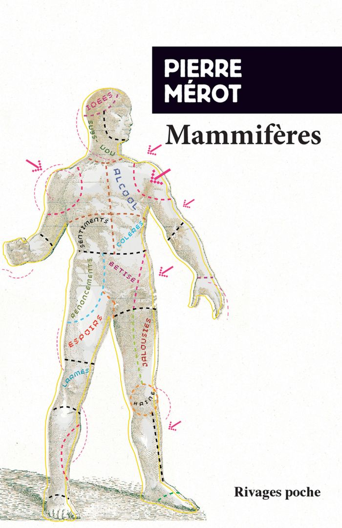 Couverture du livre « Mammifères » de Pierre Mérot, librairie Les Contes Infusés à Corte