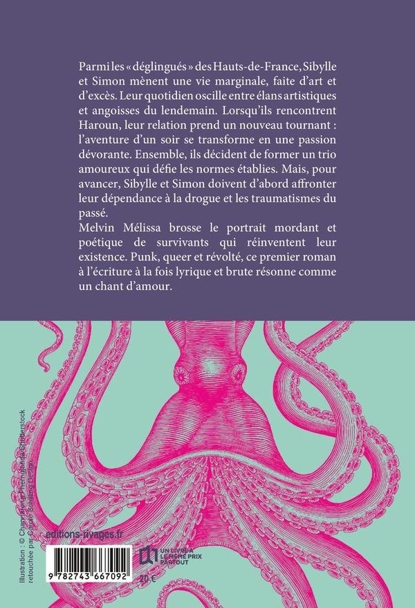 Quatrième de couverture de « Une pieuvre au plafond »