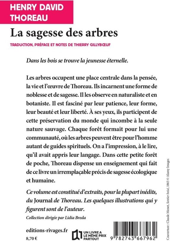 Quatrième de couverture de « La sagesse des arbres »