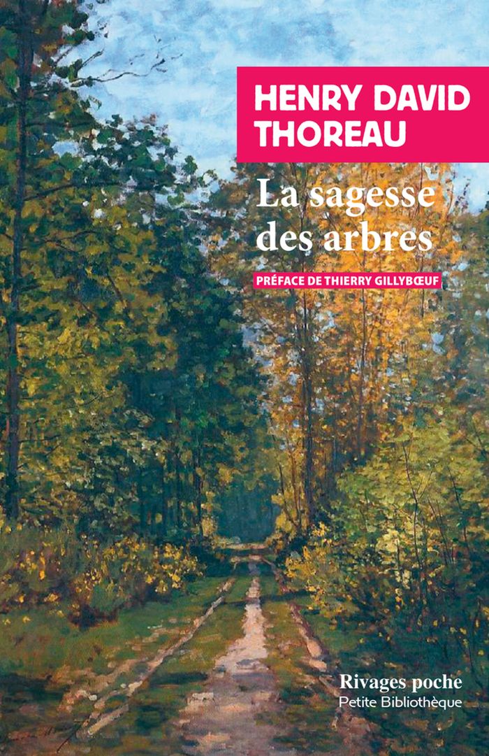 Couverture du livre « La sagesse des arbres », librairie Les Contes Infusés à Corte