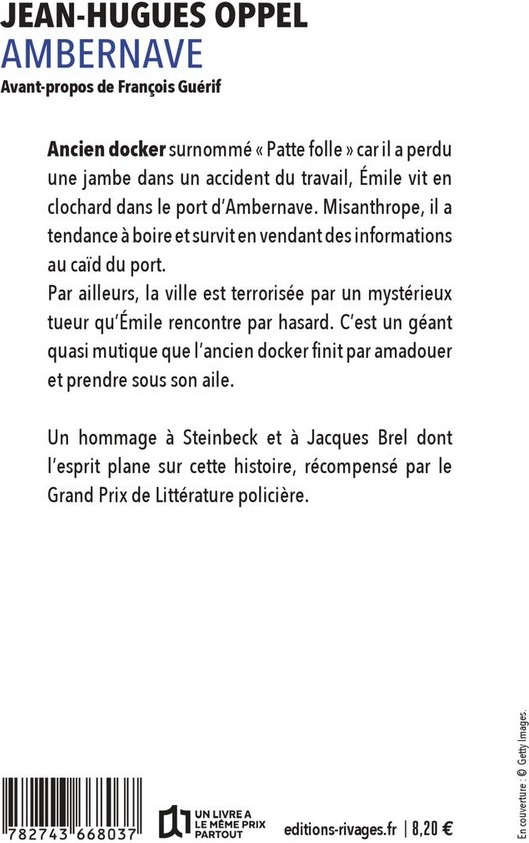 Quatrième de couverture de « Ambernave »